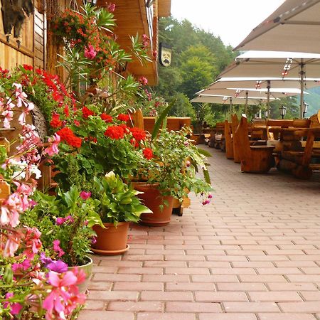 Pension Curmatura Stezii Rasinari Exterior foto