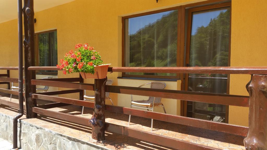Pension Curmatura Stezii Rasinari Exterior foto