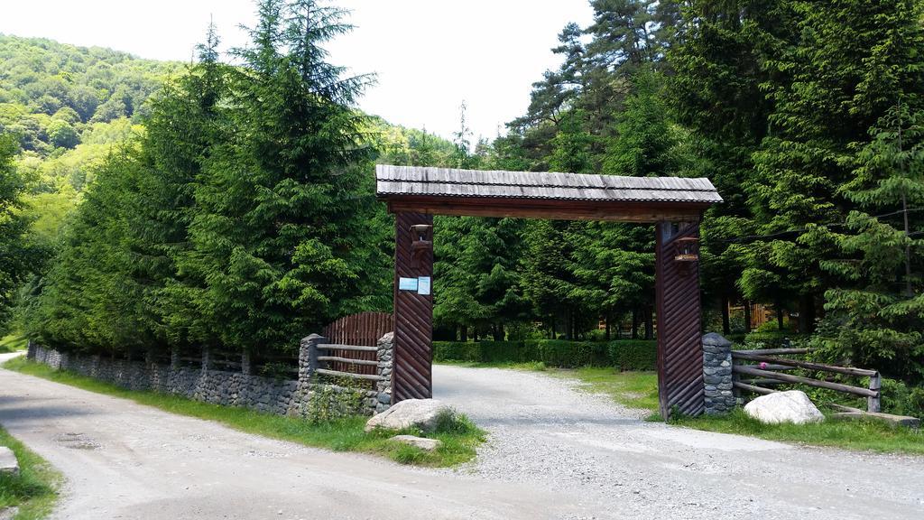 Pension Curmatura Stezii Rasinari Exterior foto