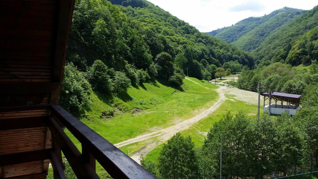 Pension Curmatura Stezii Rasinari Exterior foto