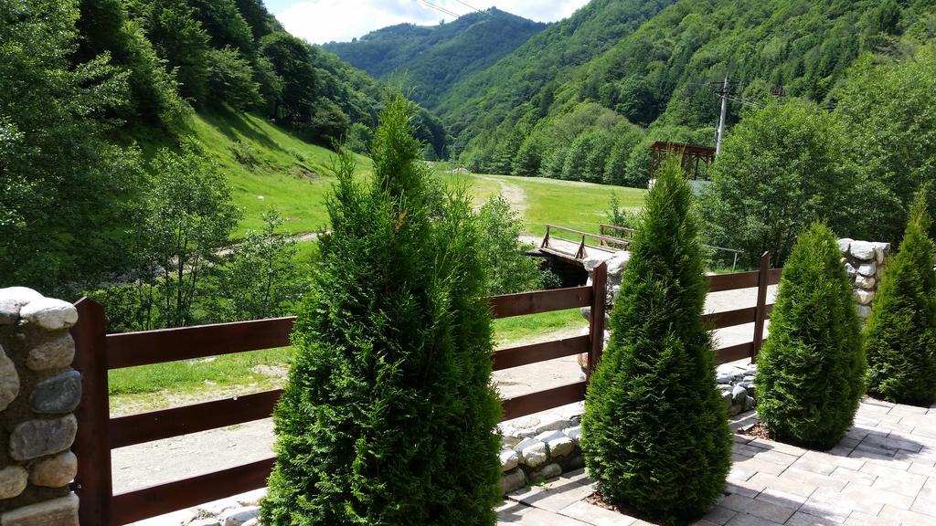 Pension Curmatura Stezii Rasinari Exterior foto
